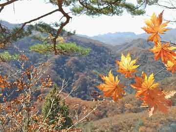 那曲地区最新天气预报概览